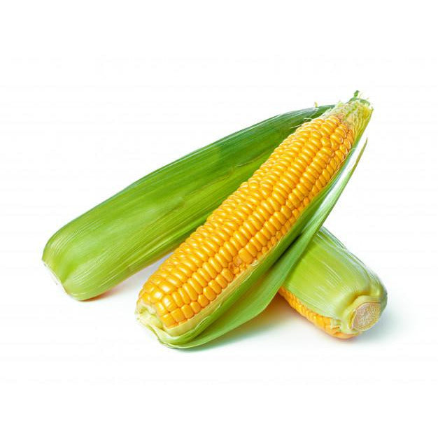 Corn