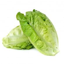Load image into Gallery viewer, Lettuce
