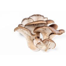 Load image into Gallery viewer, Mushrooms