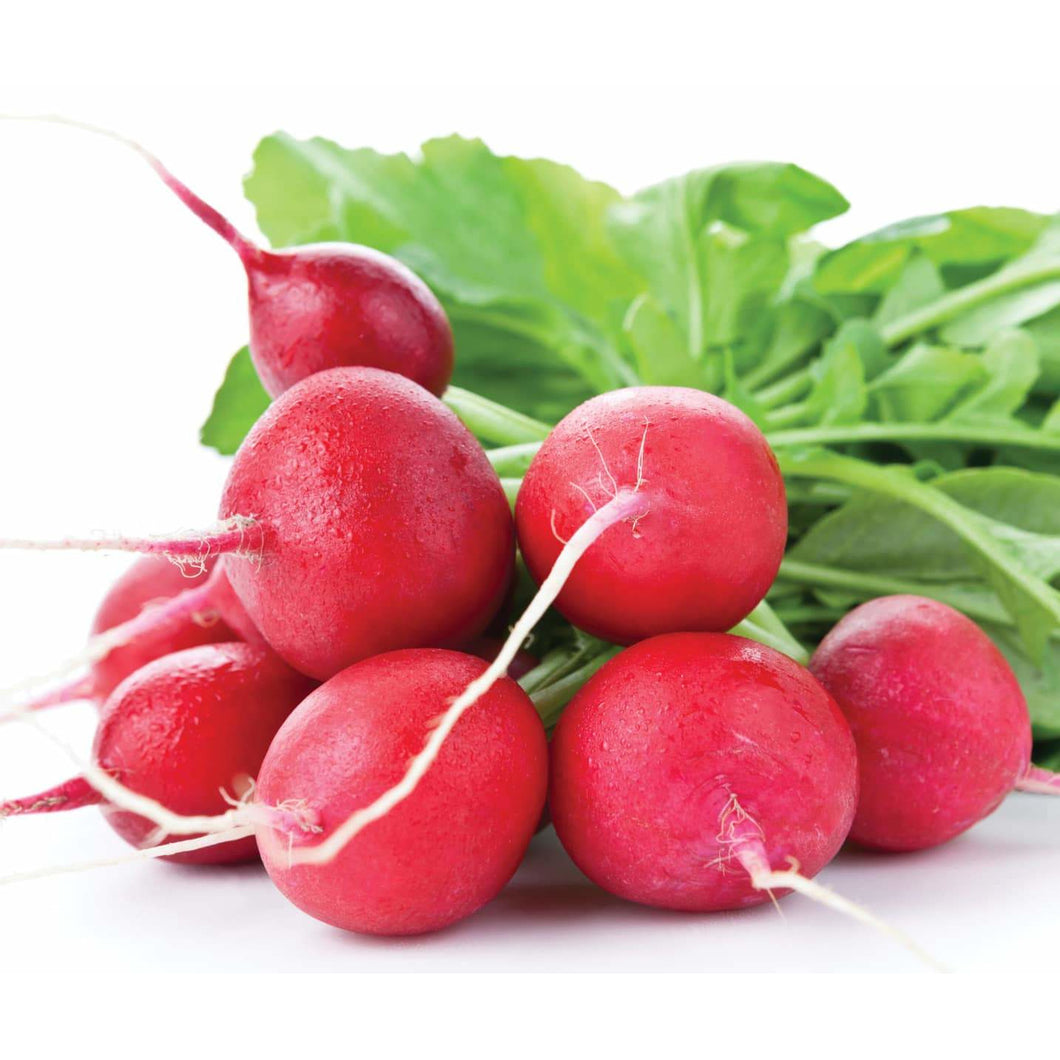 Radish